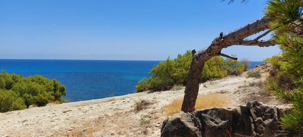 Ferienwohnung La Galatea Villajoyosa Exterior foto